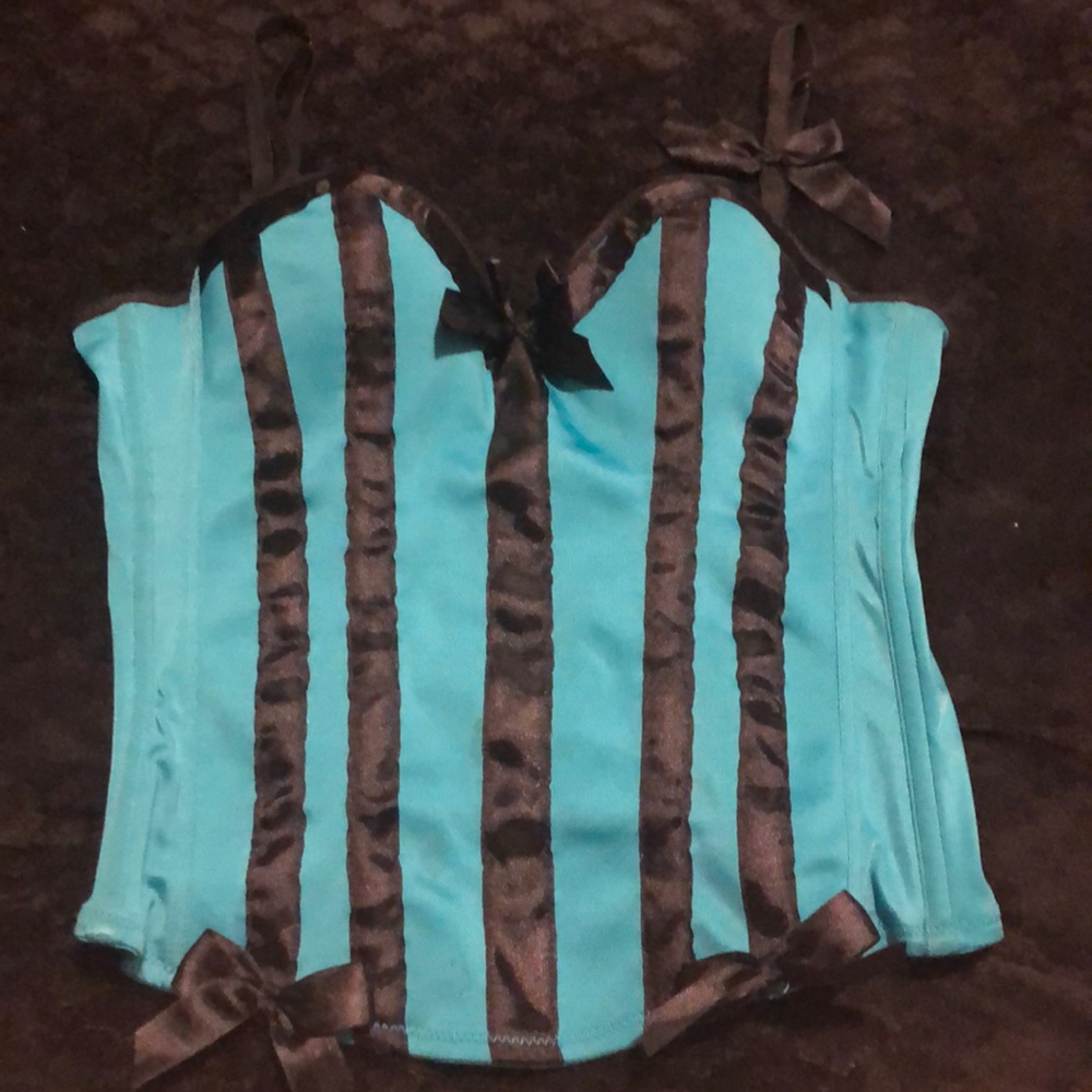 Teal bustier